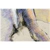 Image 3 : Rene Richard Swiss-Canadian Colored Pencil