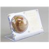 Image 3 : GSA Certified Jimmie Foxx Autographed Baseball