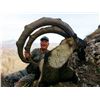 Image 4 : 7-day Turkey Anatolian (Bezoar) Ibex Hunt for Two Hunters