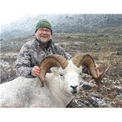 10-day Yukon Dall Sheep or Fannin Sheep Hunt for One Hunter