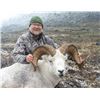 Image 1 : 10-day Yukon Dall Sheep or Fannin Sheep Hunt for One Hunter