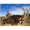 Image 2 : Ultimate Mountain Scout Long- Range Rifle Package and 10-day South Africa Sable and Kudu Hunt for On