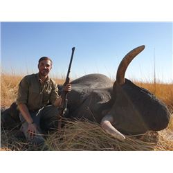 14-day Namibia Non-Exportable Elephant Hunt for One Hunter and One Observer
