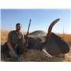 Image 1 : 14-day Namibia Non-Exportable Elephant Hunt for One Hunter and One Observer