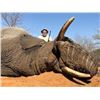 Image 2 : 14-day Namibia Non-Exportable Elephant Hunt for One Hunter and One Observer
