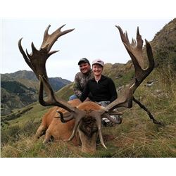5-day New Zealand Gold-Medal Red Stag Hunt up to 420 SCI and Wild Boar for Two Hunters and Two Obser