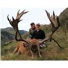 Image 1 : 5-day New Zealand Gold-Medal Red Stag Hunt up to 420 SCI and Wild Boar for Two Hunters and Two Obser