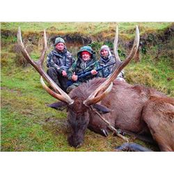 5-day New Zealand Sambar and Rusa Deer Hunt for Two Hunters