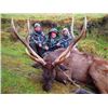 Image 1 : 5-day New Zealand Sambar and Rusa Deer Hunt for Two Hunters