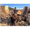 Image 3 : 10-day Western Canadian Moose Hunt for One Hunter