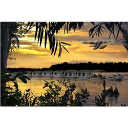 6 1/2-day Brazil Amazon Peacock Bass Fishing Adventure for Four Anglers