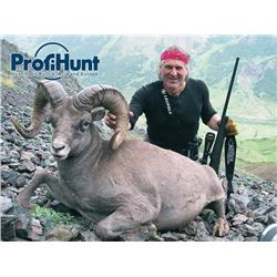 10-day Kamchatka Snow Sheep Hunt for One Hunter