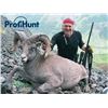 Image 1 : 10-day Kamchatka Snow Sheep Hunt for One Hunter