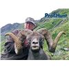 Image 5 : 10-day Kamchatka Snow Sheep Hunt for One Hunter