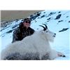 Image 1 : 6-day Kodiak Island Mountain Goat Hunt for One Hunter