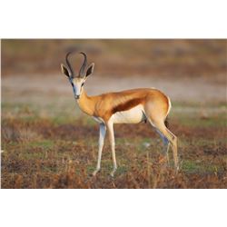 Jannie Otto Safaris, Africa Safari Hunt