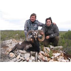 Eurohunts Spain, 1 hunter, 1 observer for Mouflaon sheep