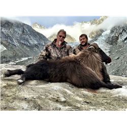 Cardrona Outfitters, Himalayan Tahr in New Zealand for 1 hunter