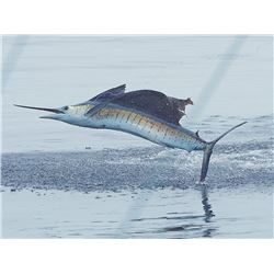 Lad Shunneson Adventures, Deep sea fishing in Zihuatanejo, Mexico