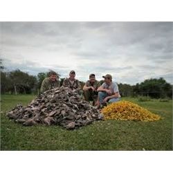SYC Sporting Adventures, 4 day dove hunt for 6 hunters