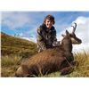 Image 1 : Cardrona Outfitters, 1 Chamois buck, 1 hunter, New Zealand