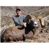 Image 1 : BC Trophy Mountain Outfitters, Big Game hunt in BC.