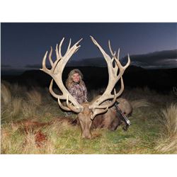 Cardrona Outfitters: new Zealand for Red Stag up to 320 SCI, Bull Tahr and Chamois Buck