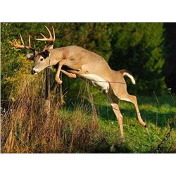 Mallard Valley/Safari Unlimited donate 6 days/5nights for 2 hunters