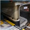 Image 2 : GREAT CHOICE KENNEL