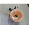 Image 2 : SALT ROCK LAMP