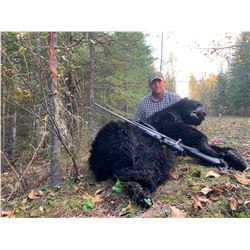 Canadian Black bear hunt