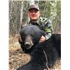 Image 2 : Canadian Black bear hunt