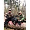 Image 4 : Canadian Black bear hunt