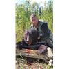 Image 6 : Canadian Black bear hunt