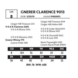 GNERER CLARENCE 9013