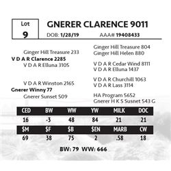 GNERER CLARENCE 9011