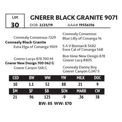 GNERER BLACK GRANITE 9071