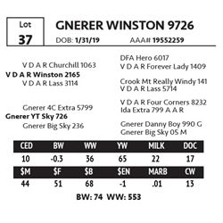 GNERER WINSTON 9726