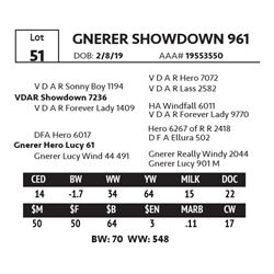 GNERER SHOWDOWN 961