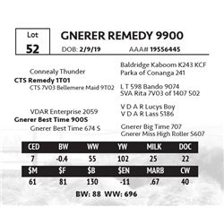 GNERER REMEDY 9900