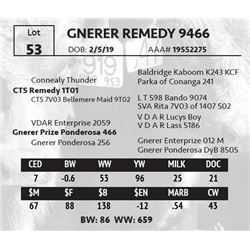 GNERER REMEDY 9466