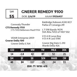 GNERER REMEDY 9100