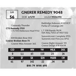 GNERER REMEDY 9048