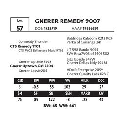 GNERER REMEDY 9007