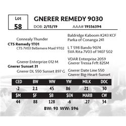 GNERER REMEDY 9030