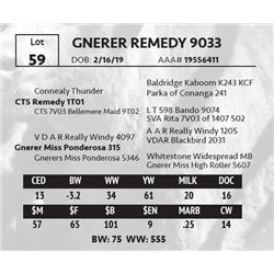 GNERER REMEDY 9033