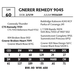 GNERER REMEDY 9045