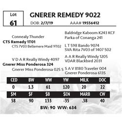 GNERER REMEDY 9022