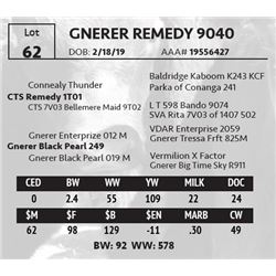 GNERER REMEDY 9040