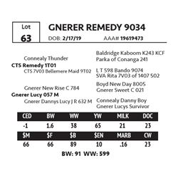 GNERER REMEDY 9034